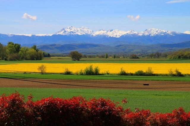 Parc Des Oliviers Ξενοδοχείο Gaudiès Εξωτερικό φωτογραφία